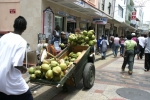 Coconut Vendor in Bridgetown
